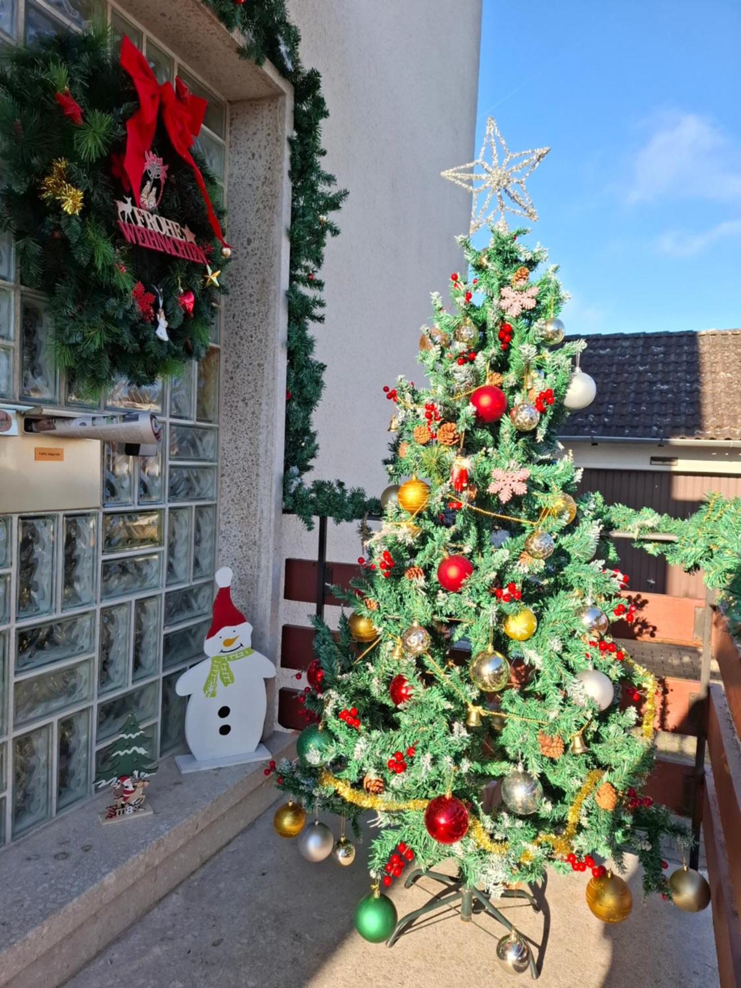 Magnolie Eschwege